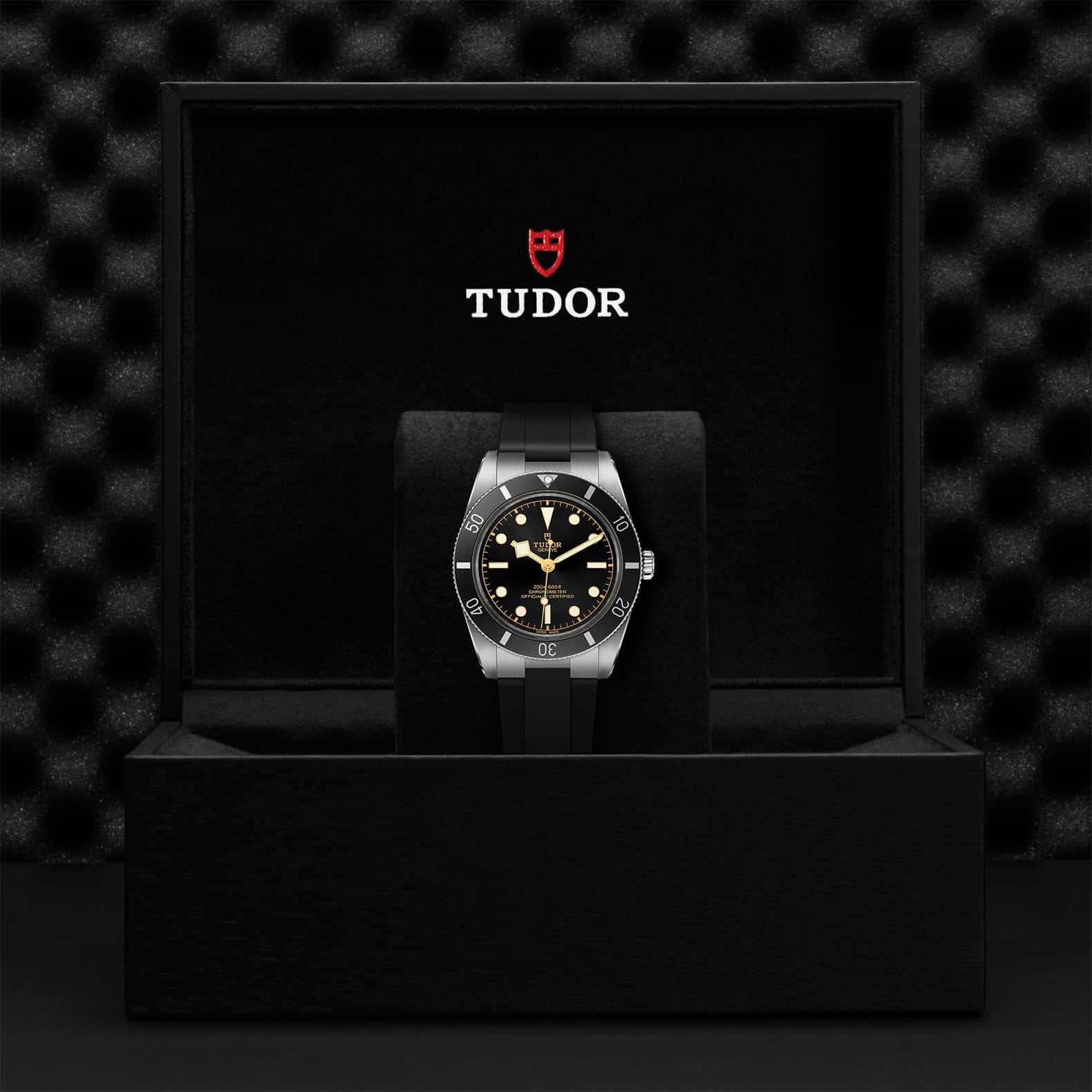 TUDOR Black Bay 54 - Image 5
