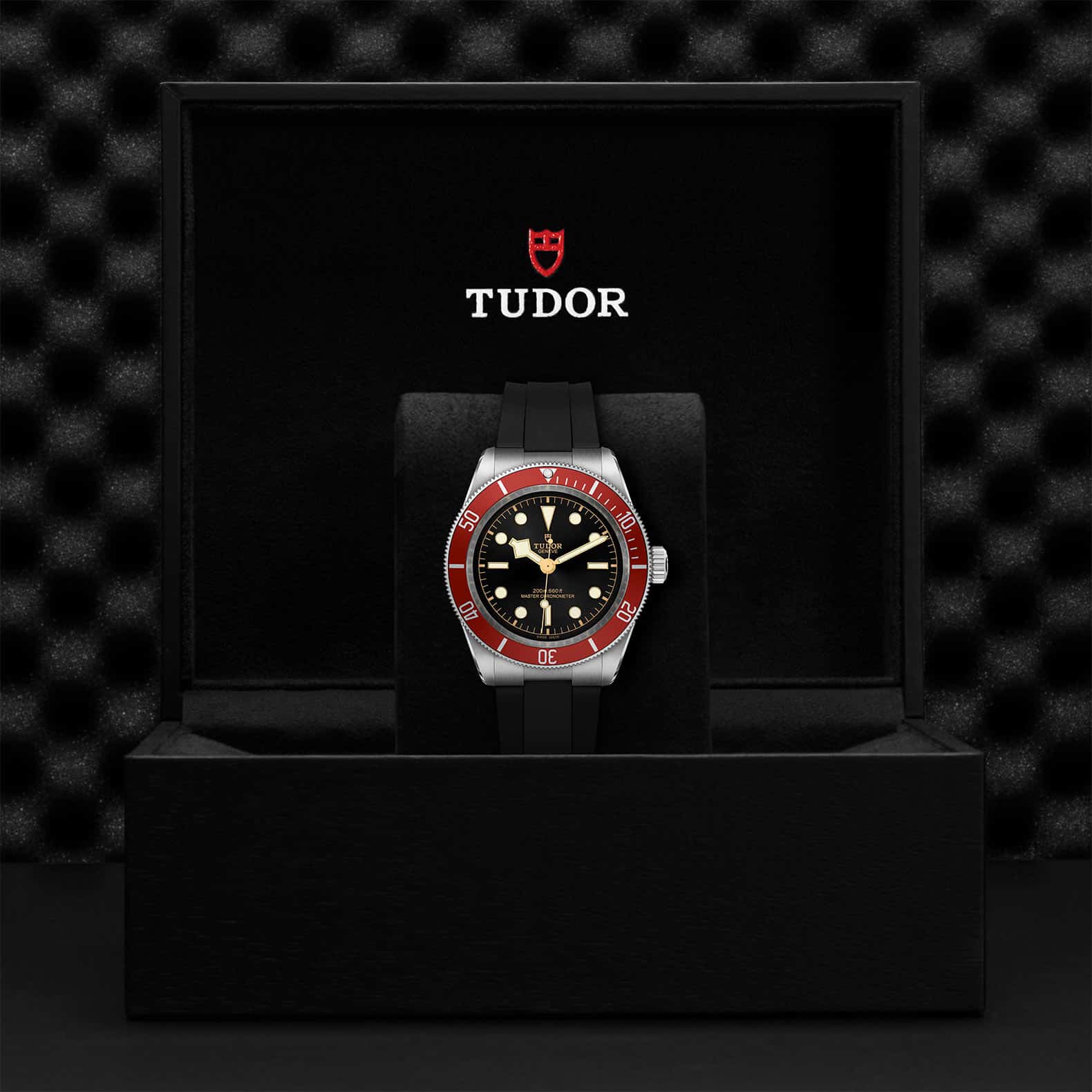 TUDOR Black Bay - Image 5