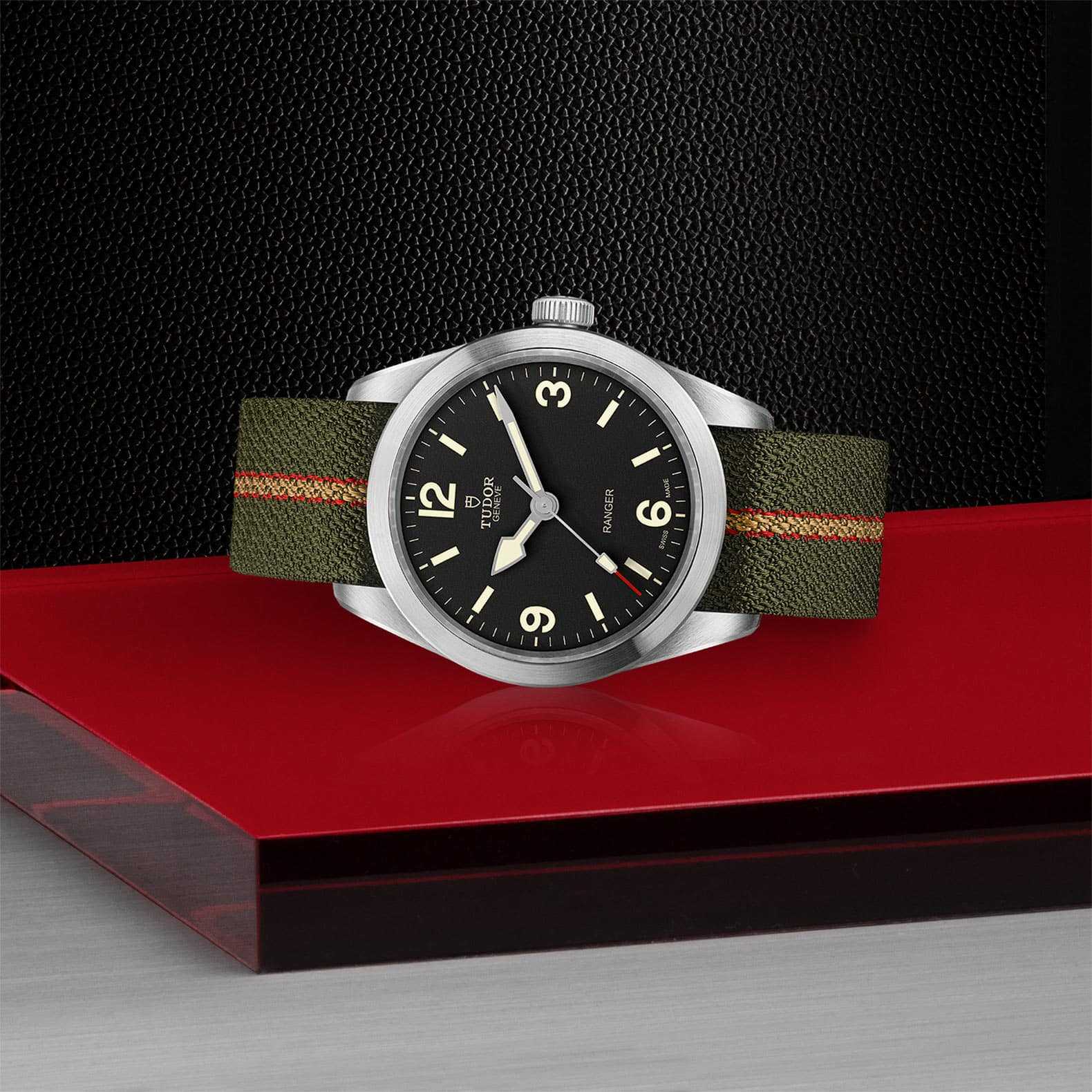 TUDOR Ranger - Image 2