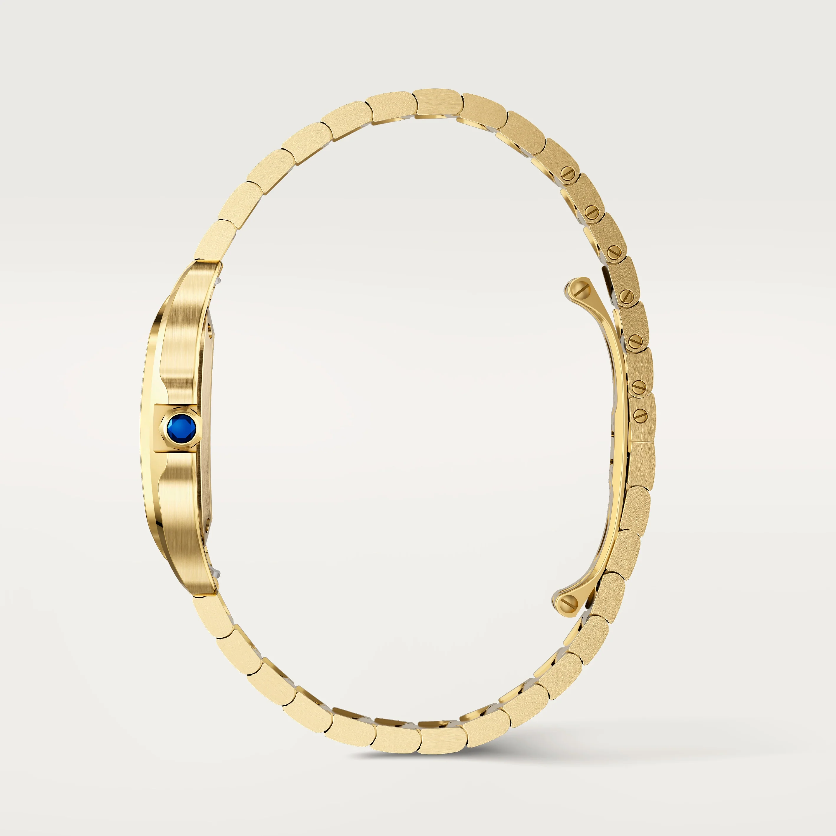 Santos de Cartier watch - Image 5
