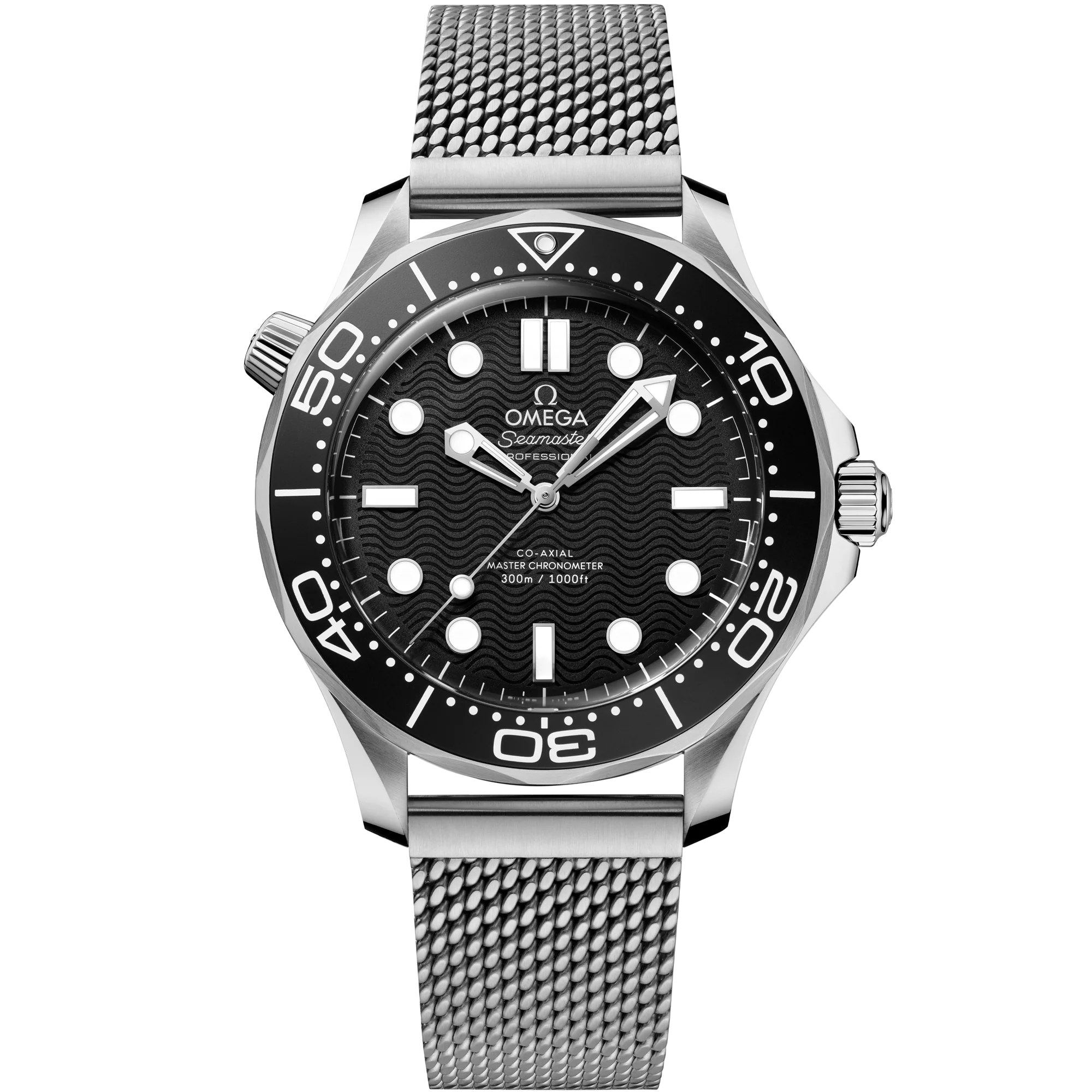 Seamaster Diver 300M