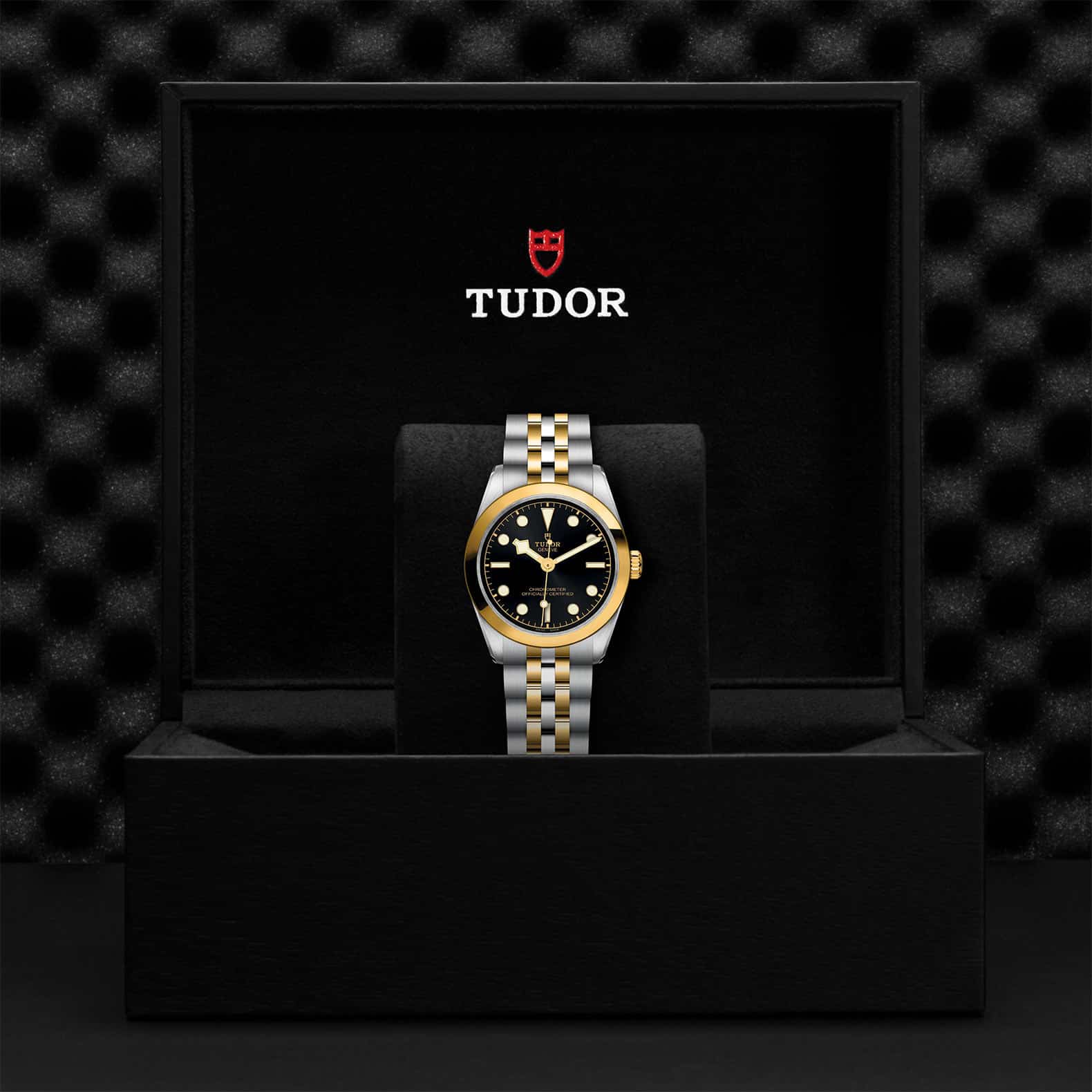 TUDOR Black Bay One 31 S&G - Image 5