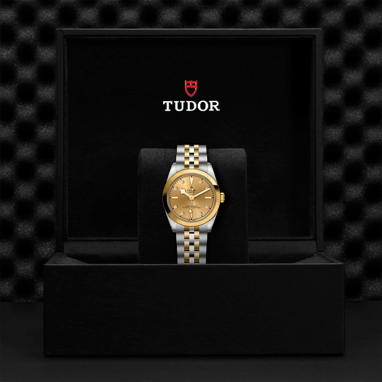 TUDOR Black Bay One 31 S&G - Image 5
