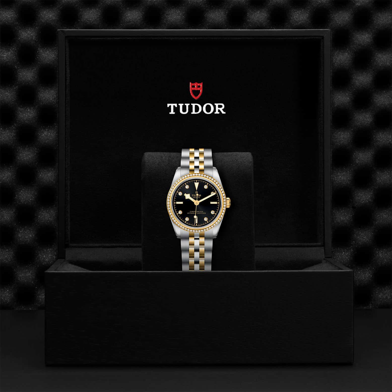 TUDOR Black Bay One 31 S&G - Image 5