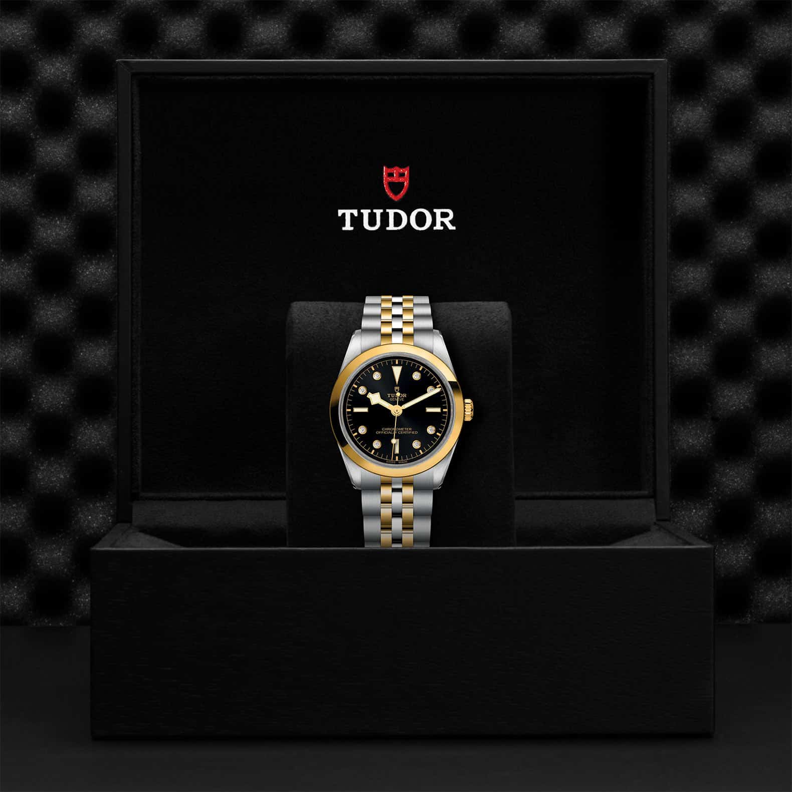 TUDOR Black Bay One 36 S&G - Image 5