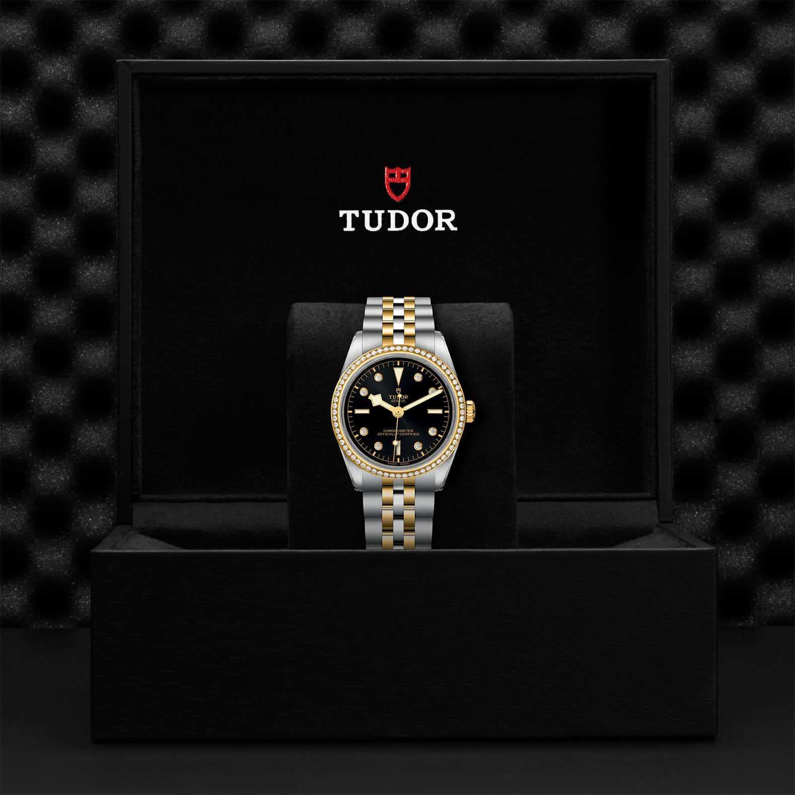 TUDOR Black Bay One 36 S&G - Image 5