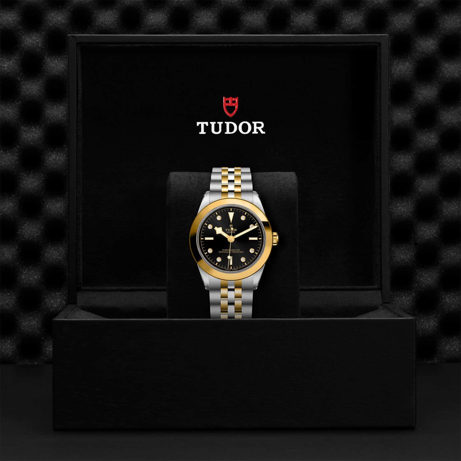 TUDOR Black Bay One 39 S&G - Image 5