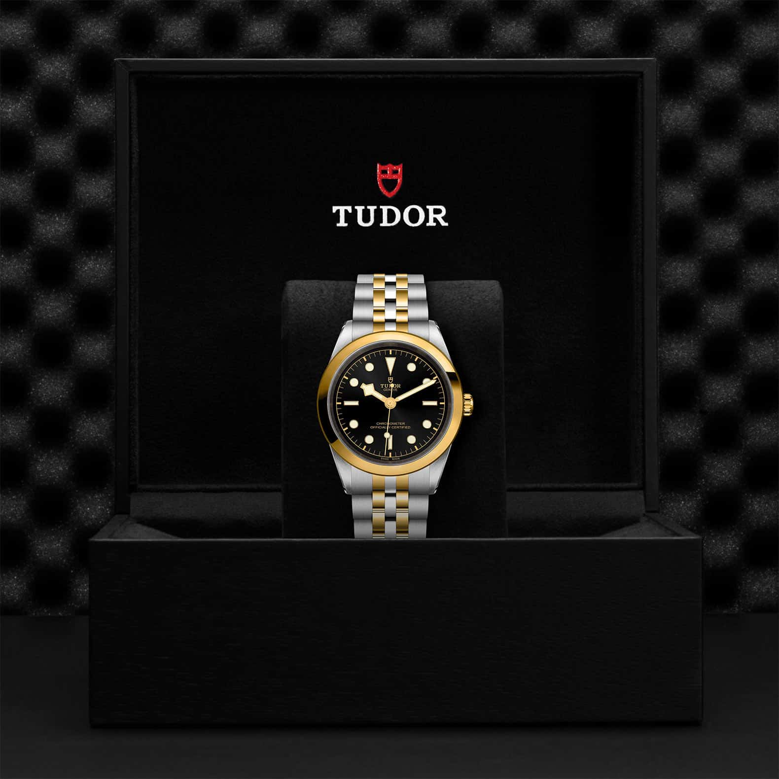 TUDOR Black Bay One 41 S&G - Image 5