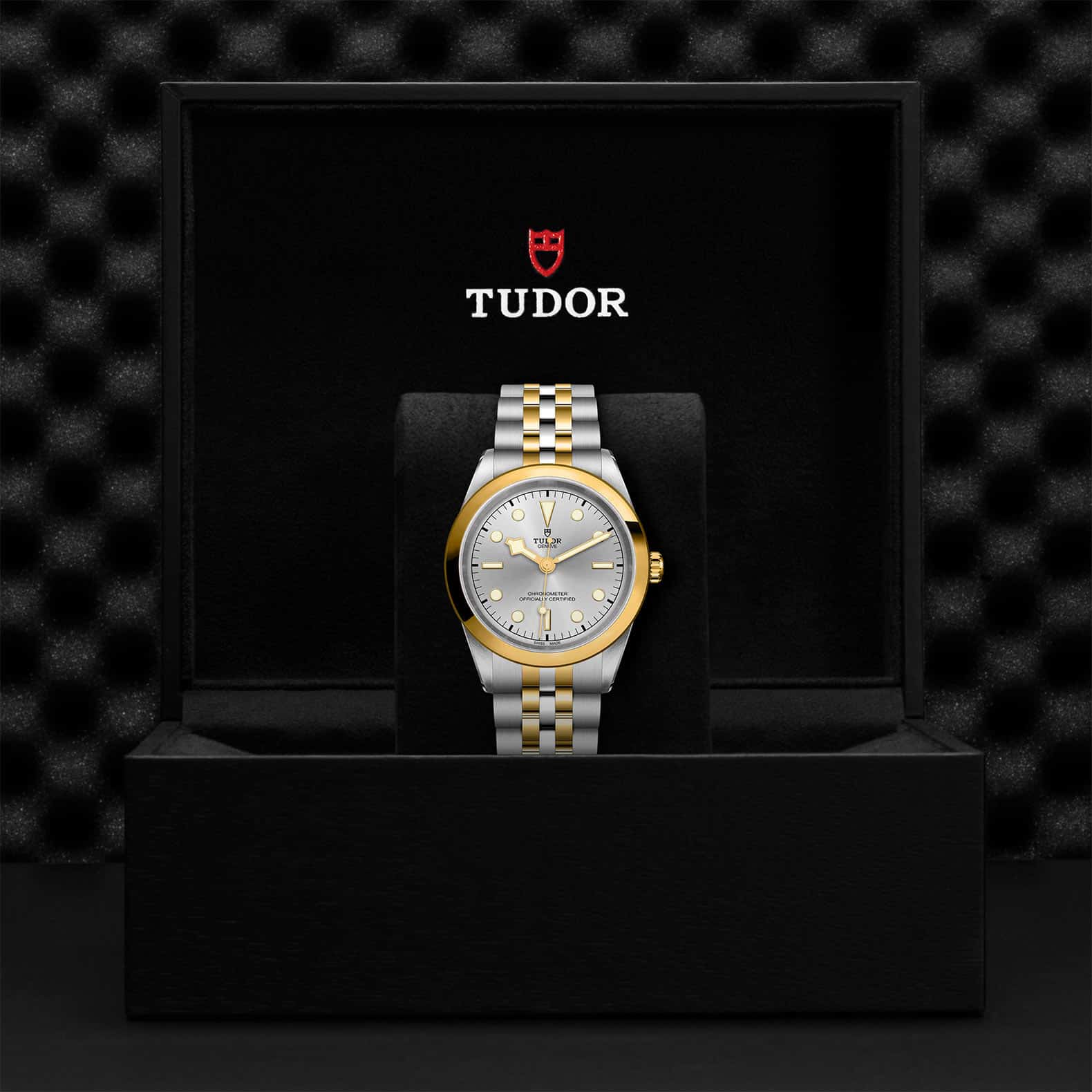 TUDOR Black Bay One 41 S&G - Image 5