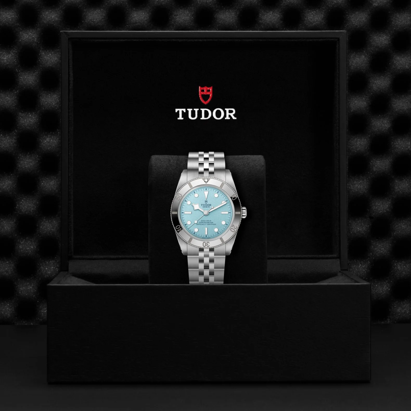 TUDOR Black Bay 54 - Image 5