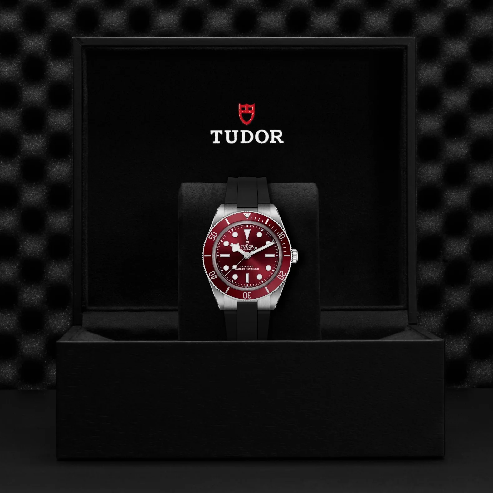 TUDOR Black Bay 58 - Image 5