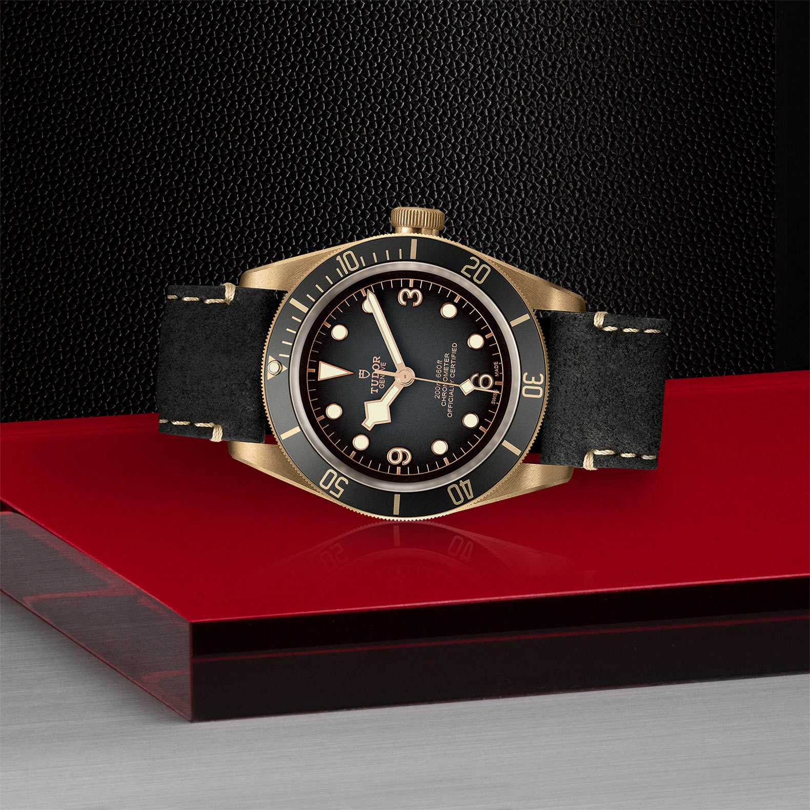 TUDOR Black Bay Bronze - Image 2