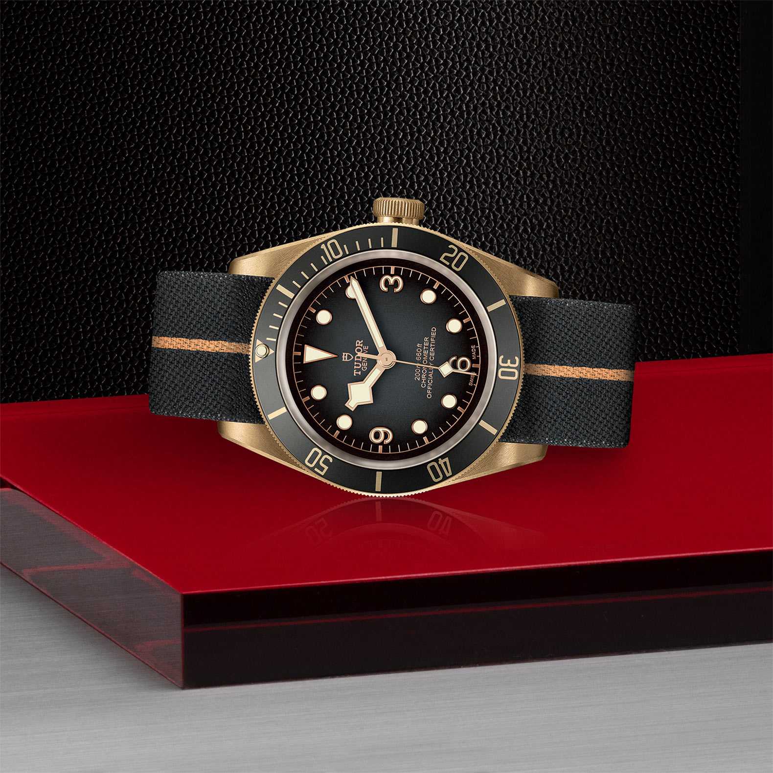 TUDOR Black Bay Bronze - Image 2