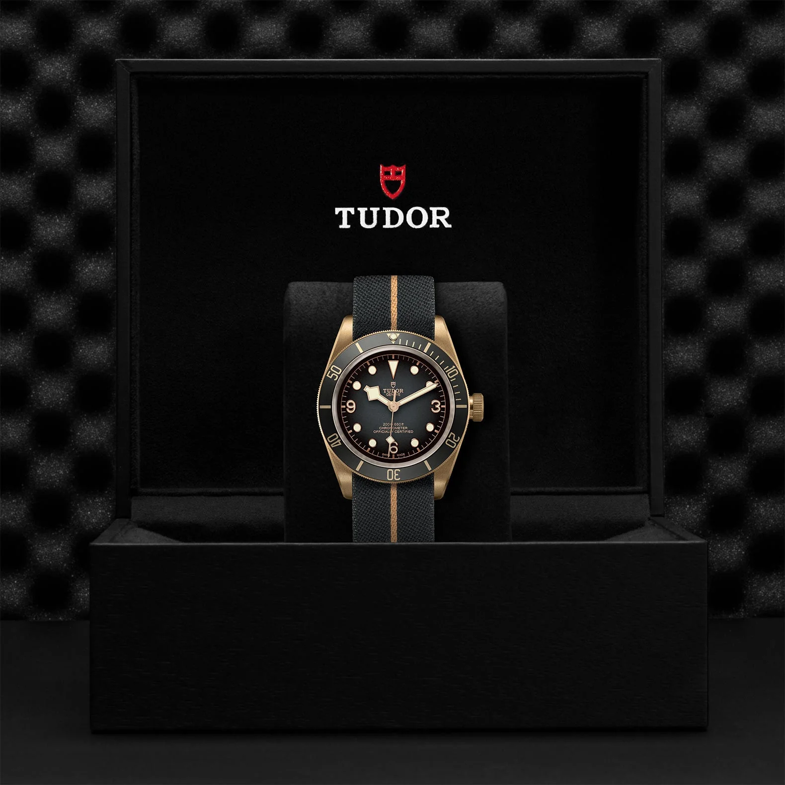 TUDOR Black Bay Bronze - Image 5