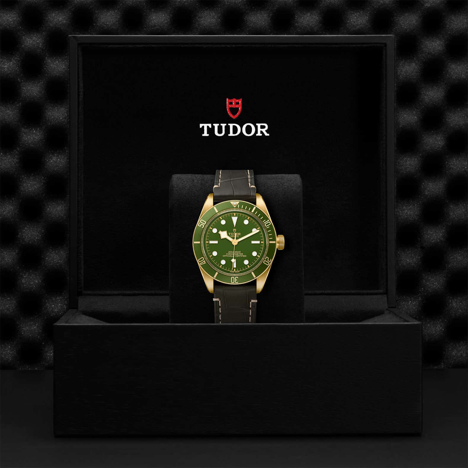 TUDOR Black Bay 58 18K - Image 5