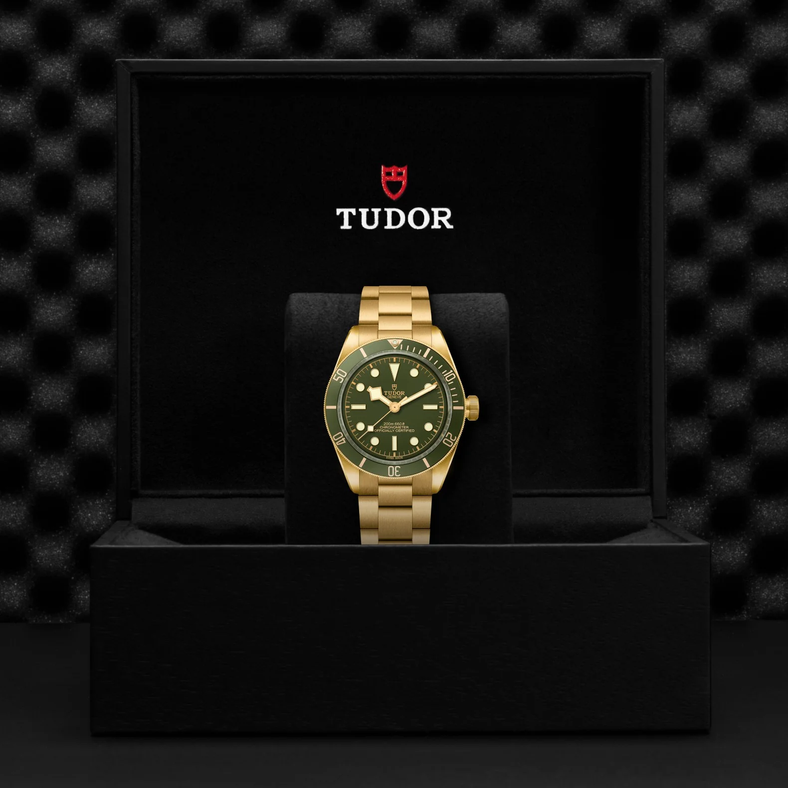 TUDOR Black Bay 58 18K - Image 5