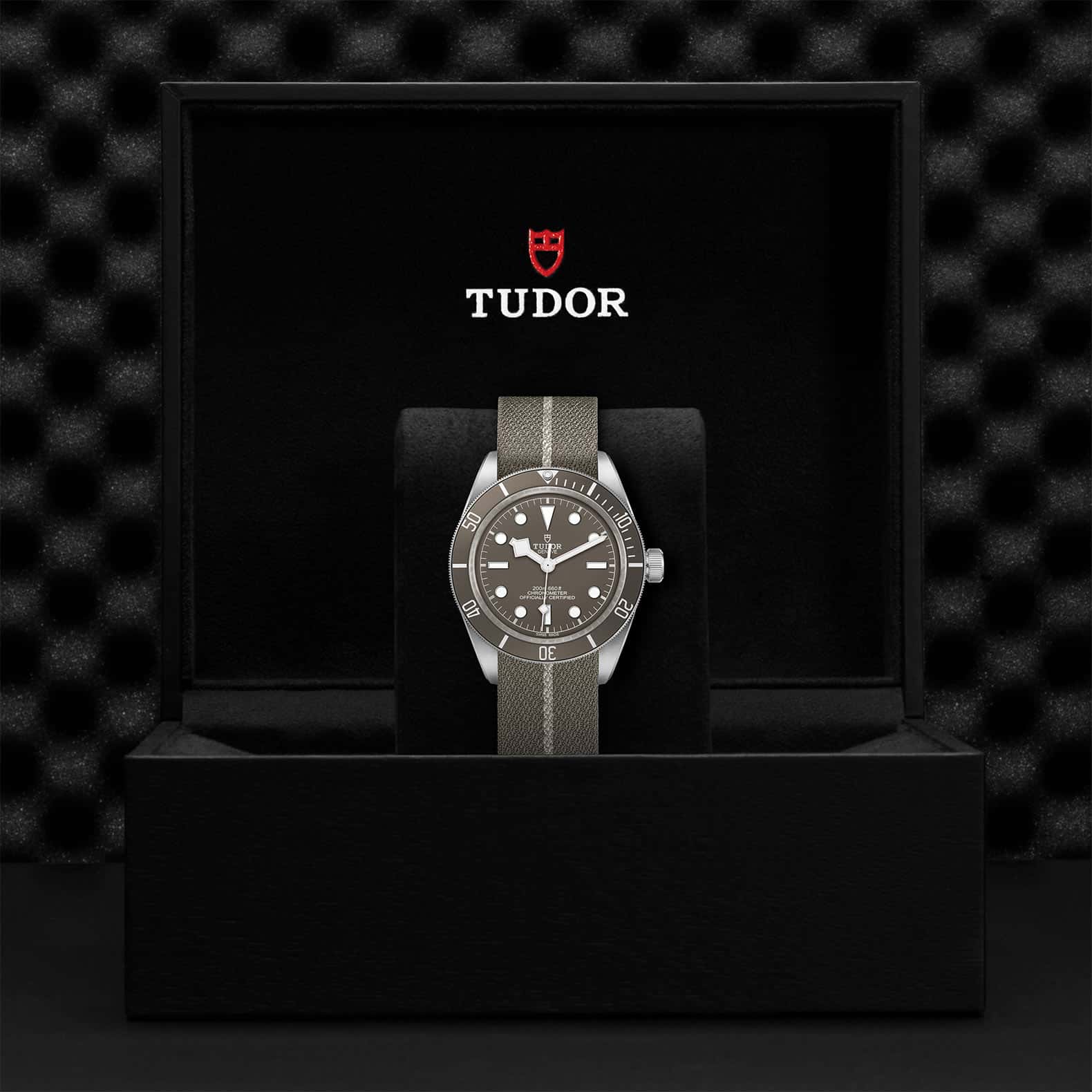 TUDOR Black Bay 58 925 - Image 5