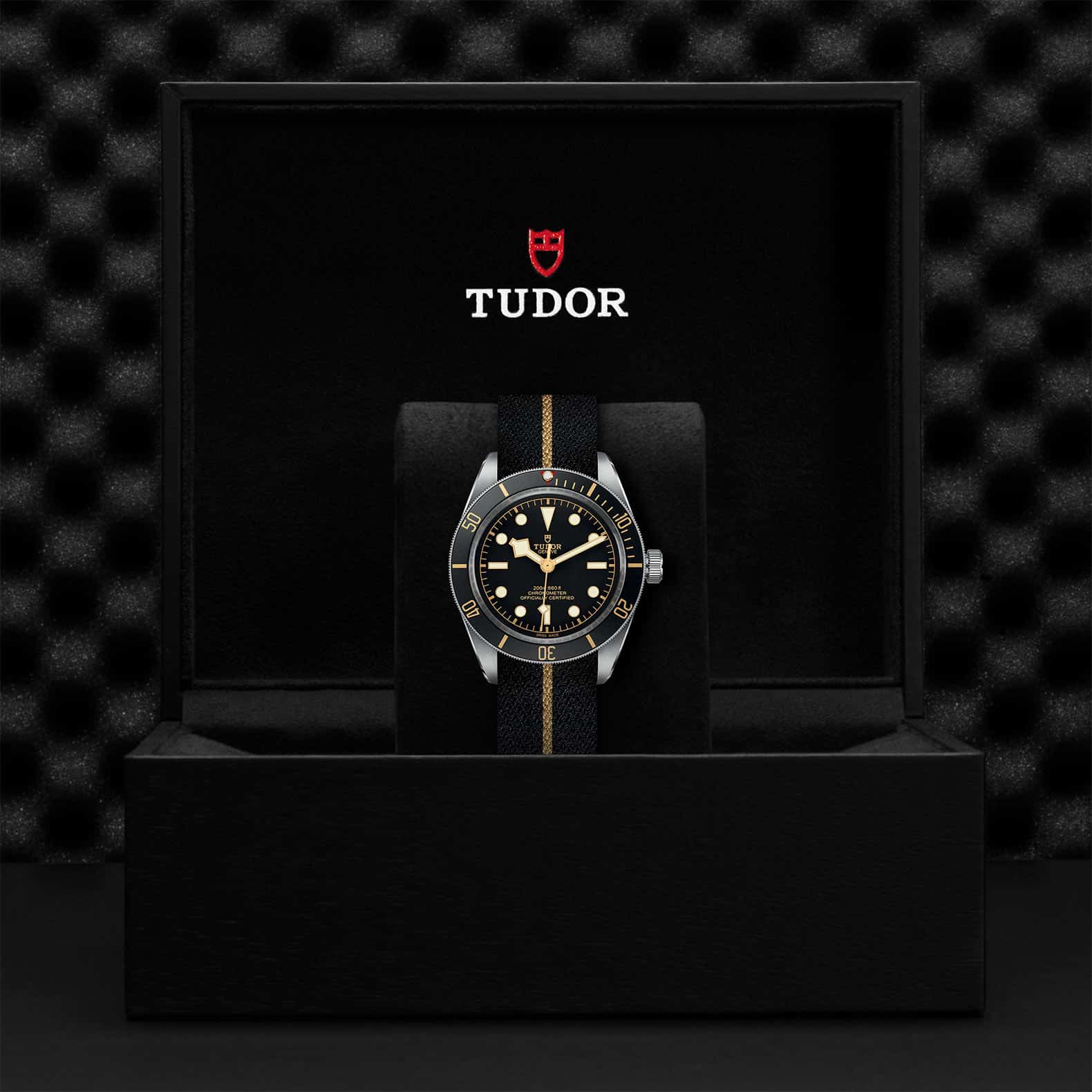 TUDOR Black Bay 58 - Image 5
