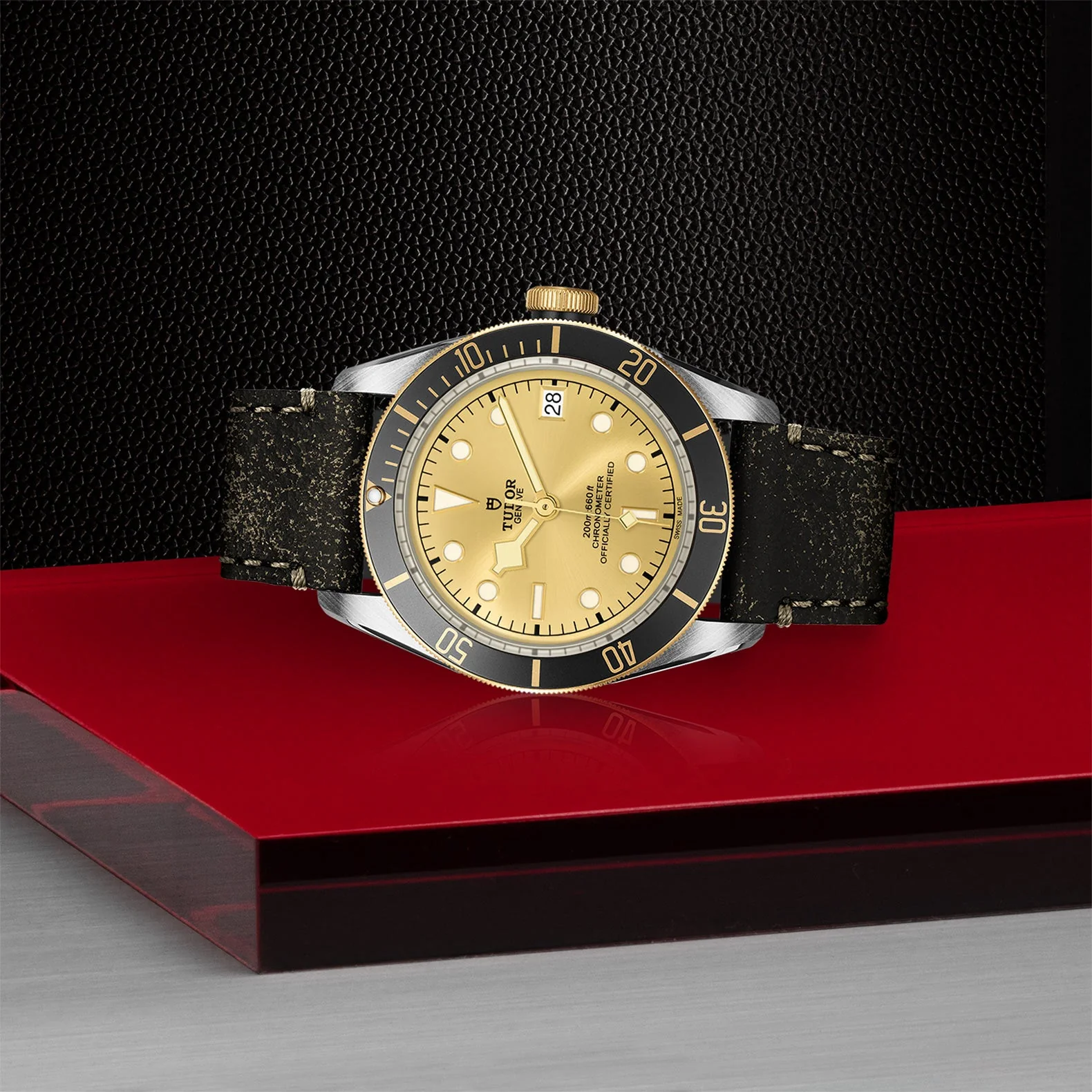 TUDOR Black Bay S&G - Image 2