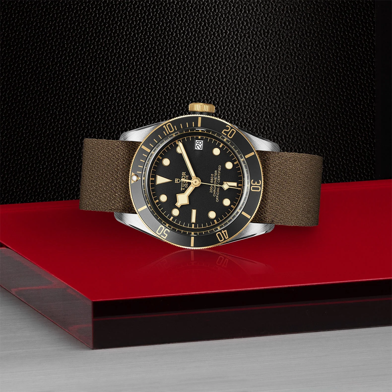 TUDOR Black Bay S&G - Image 2
