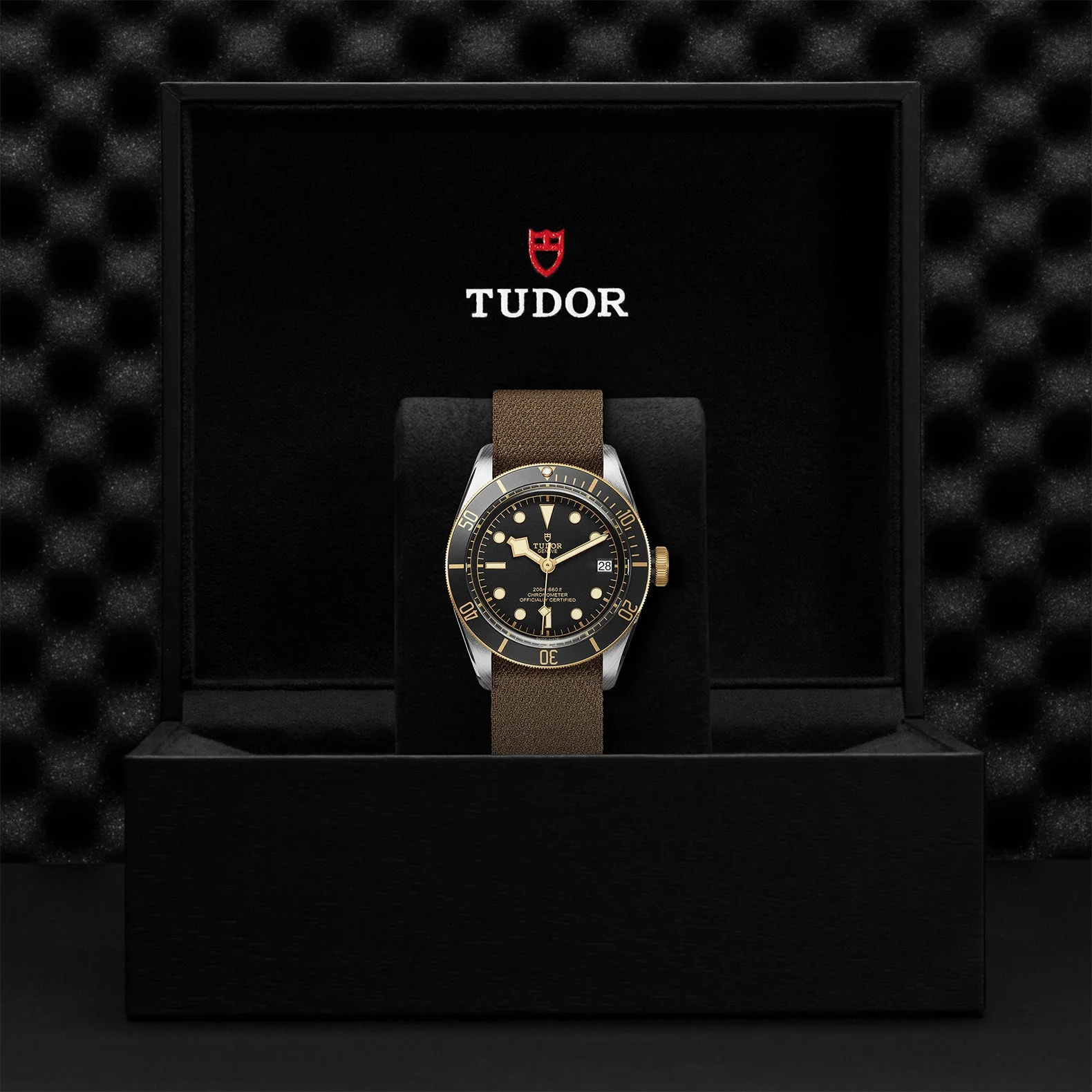 TUDOR Black Bay S&G - Image 5