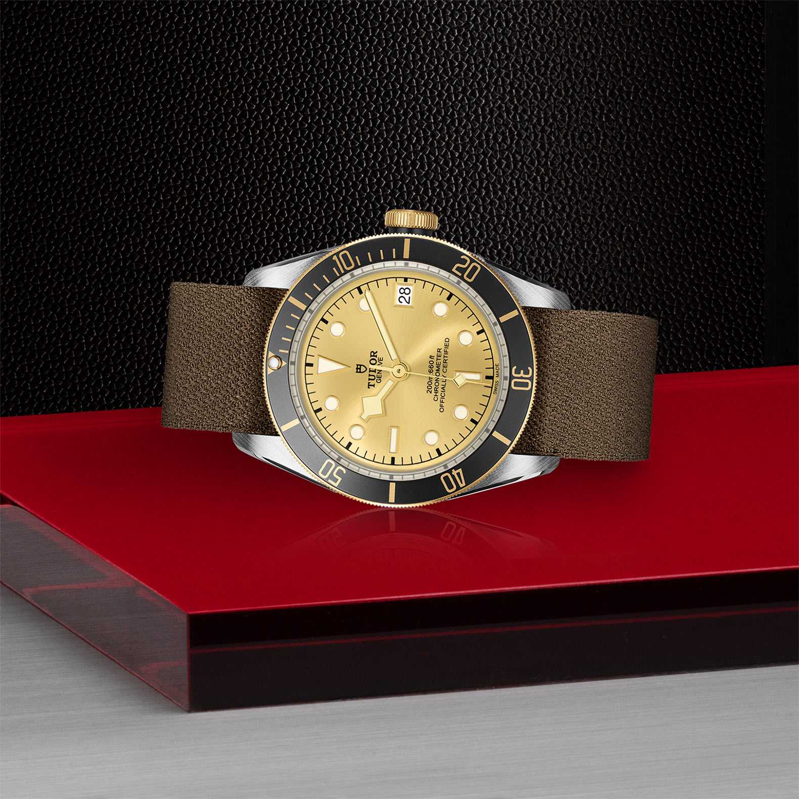 TUDOR Black Bay S&G - Image 2