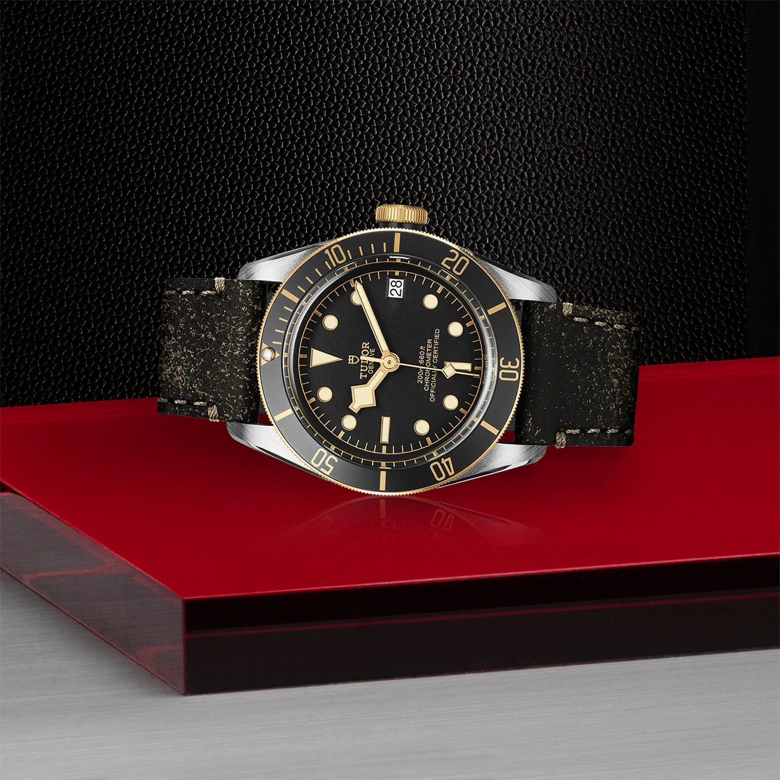 TUDOR Black Bay S&G - Image 2