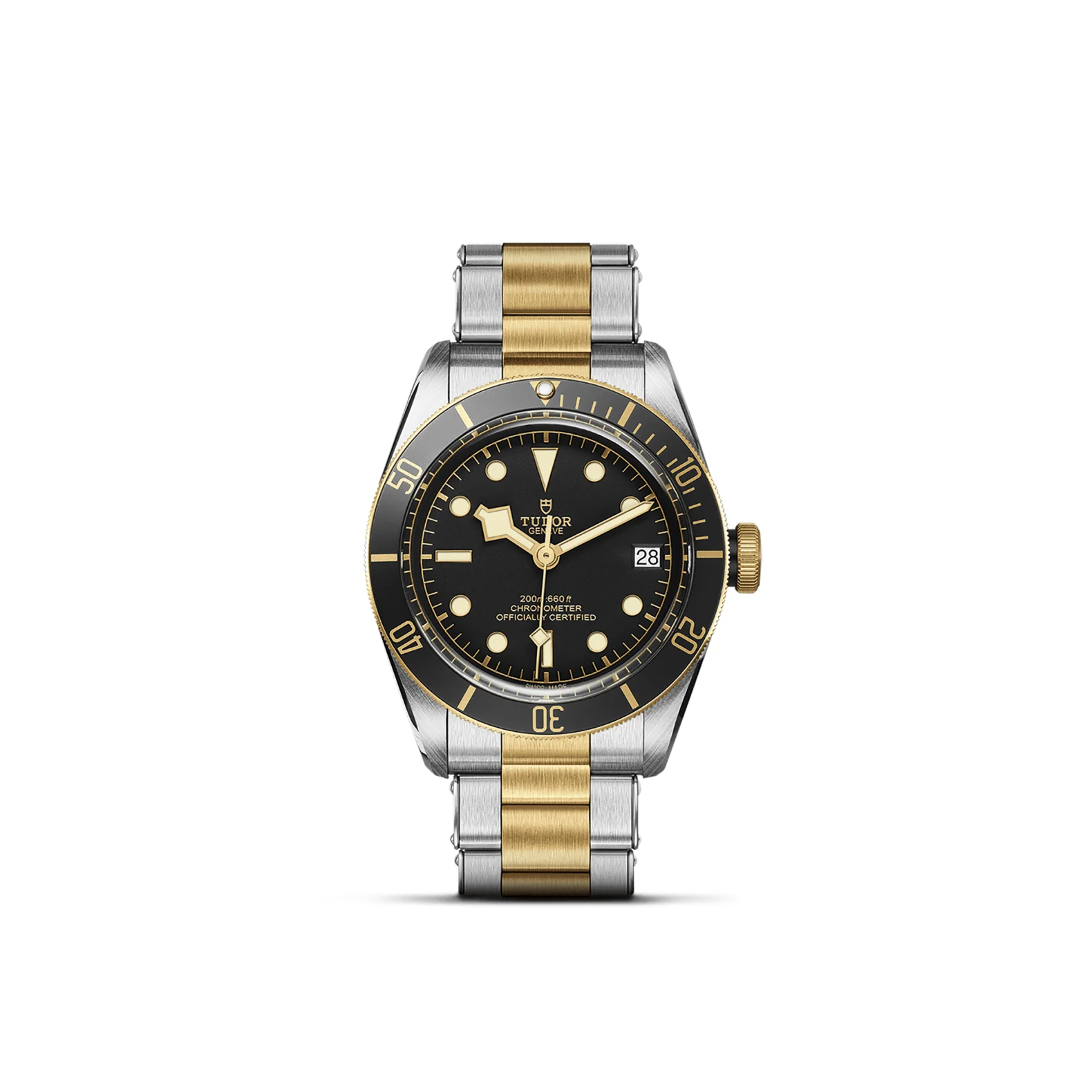 TUDOR Black Bay S&G