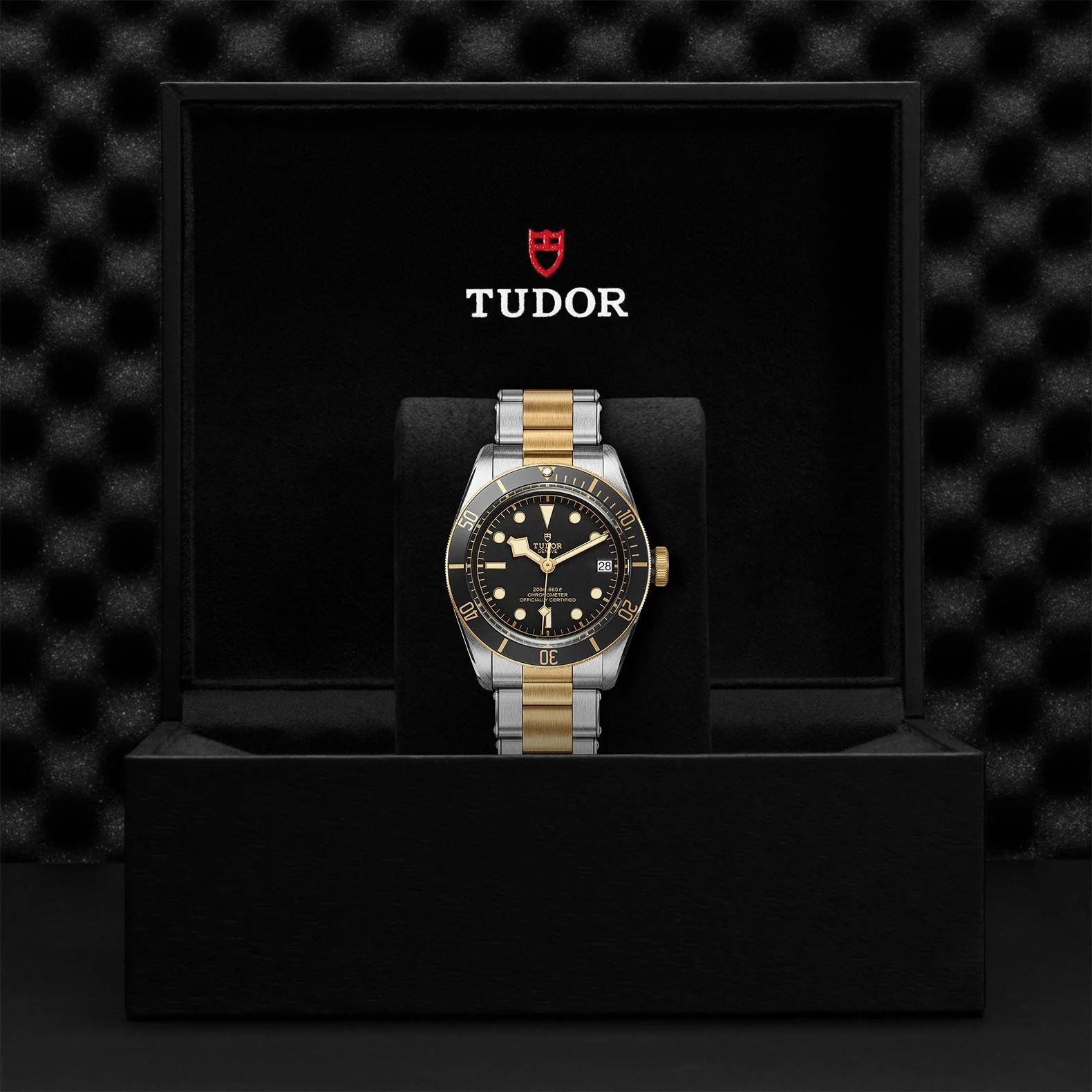 TUDOR Black Bay S&G - Image 5
