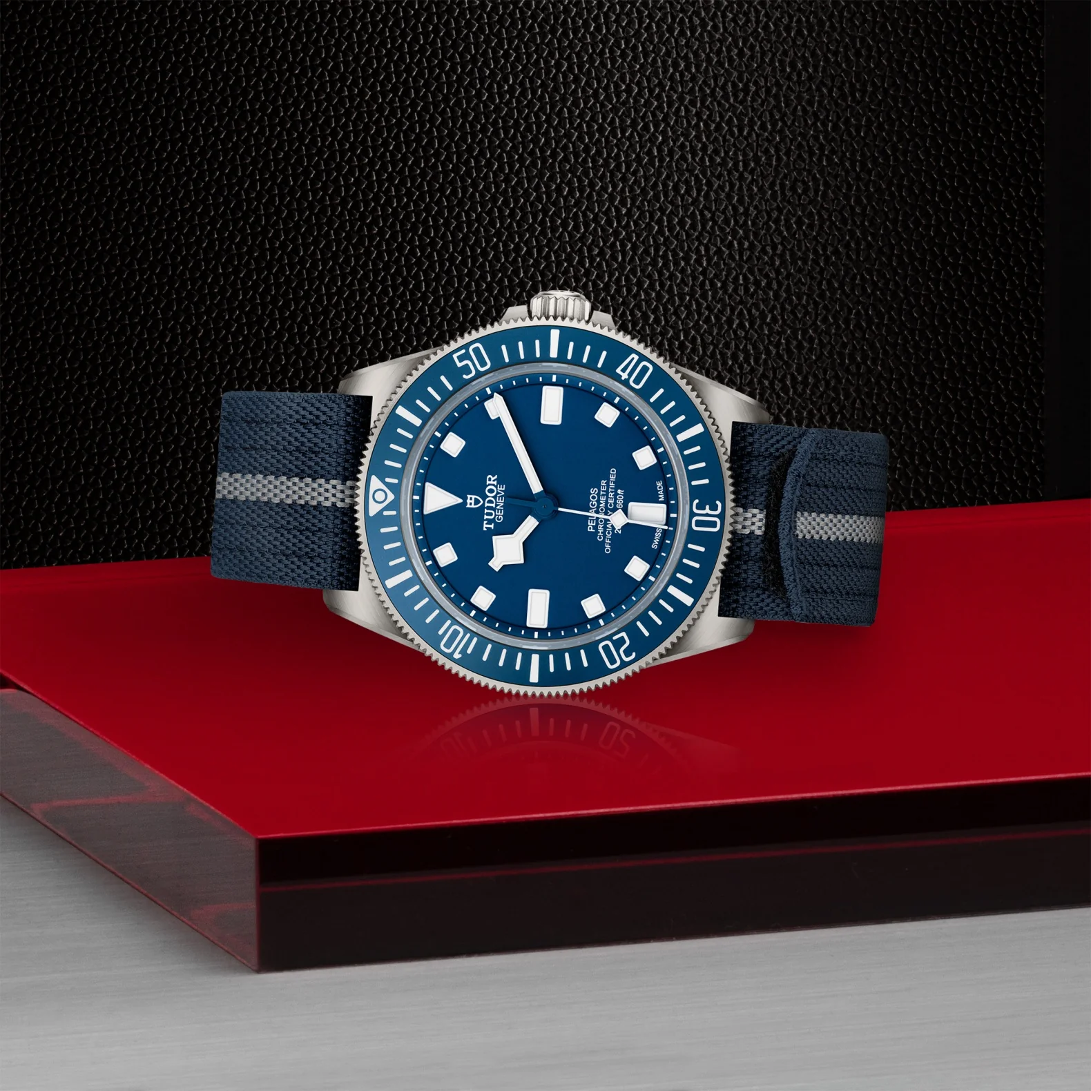 TUDOR Pelagos FXD - Image 2